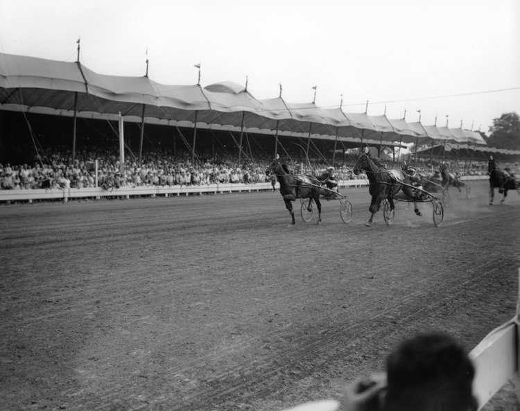Goshen50_01.jpg
