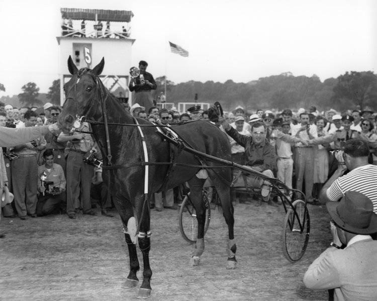 Goshen48_02.jpg