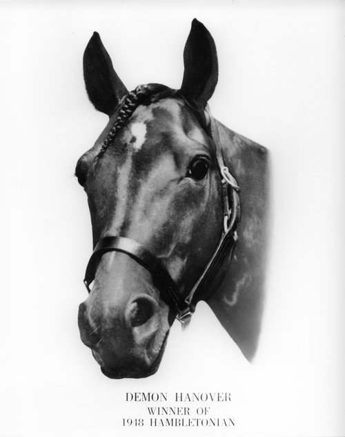 Goshen48_06.jpg