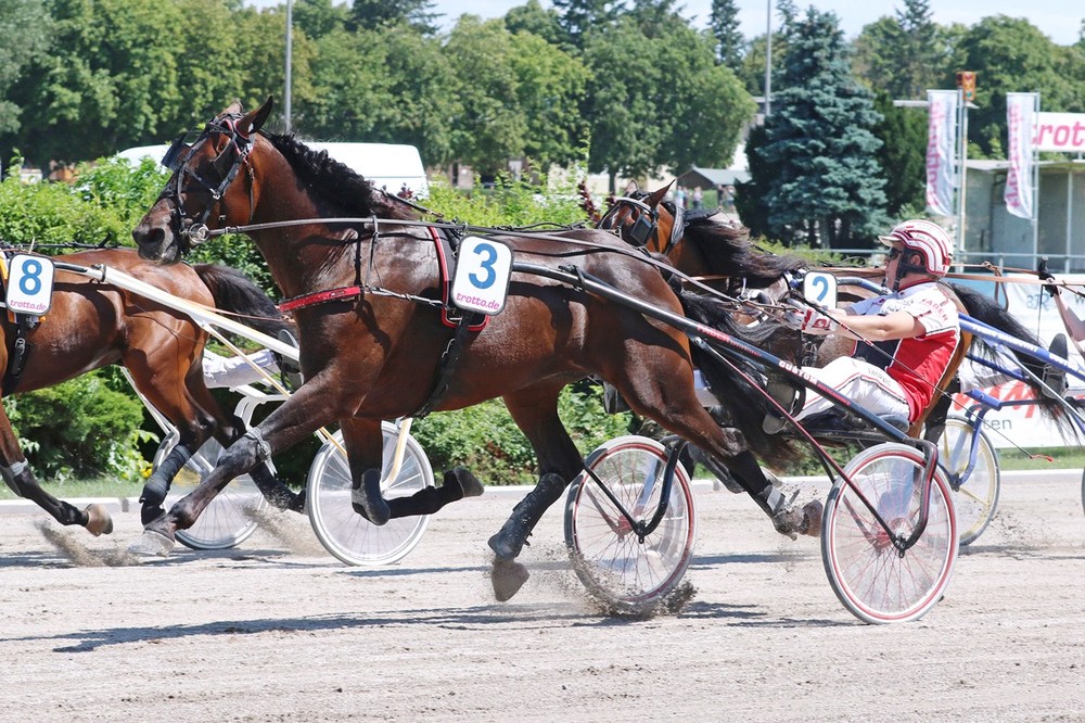 2017havens_deutsche_traberderby_tsunamidiamant_hagoort_bakker.jpg