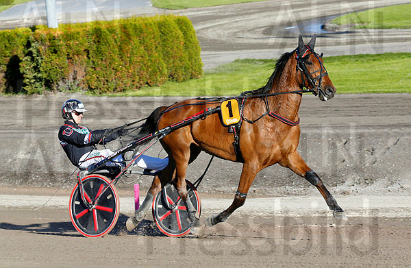 Maestro Crowe heat 1.t60b8e0e8.m600.w.4salnwmark2.png.xGRgvZWSM.jpg