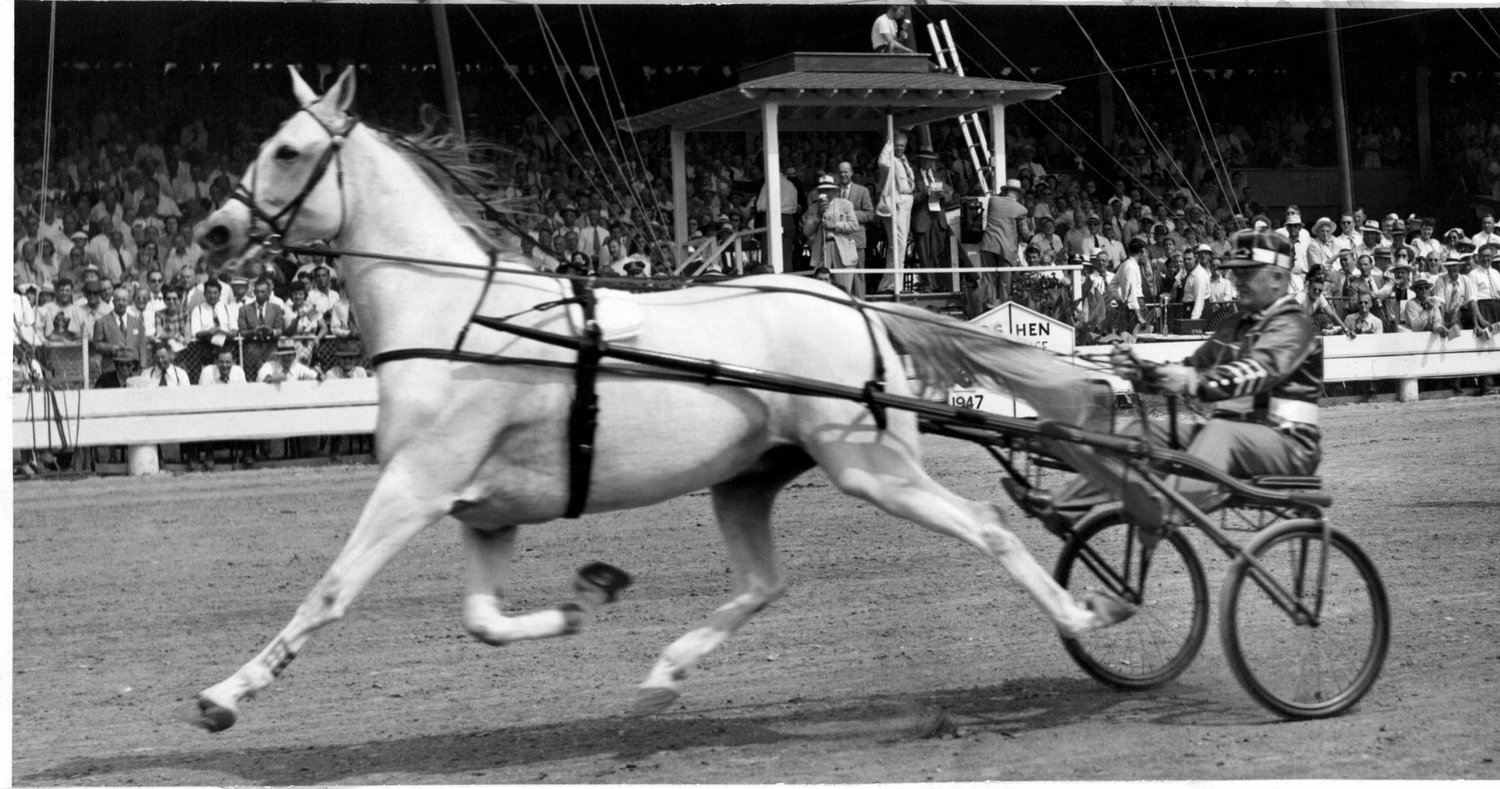 35GREYHOUND2.jpg