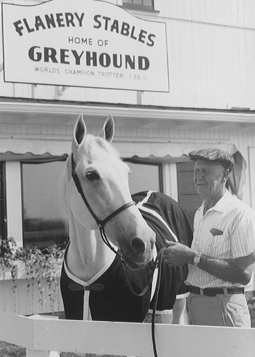35GREYHOUNDFLANSTABLE.jpg