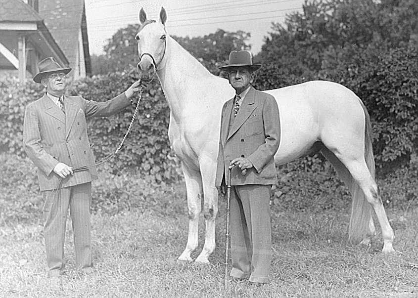 35GREYHOUNDKNIGHTBAKER.jpg