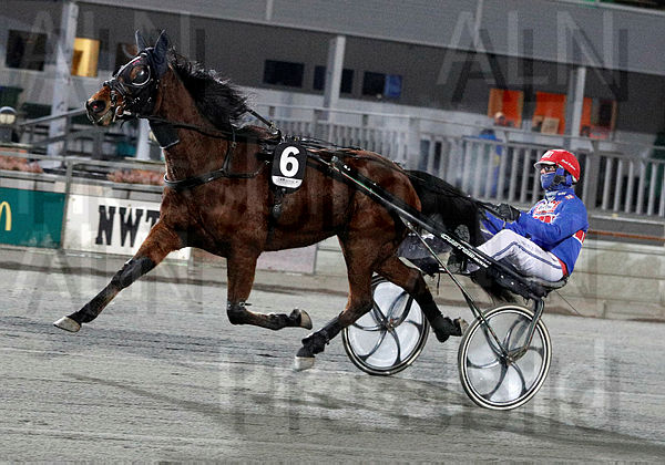 Boke Palema heat .t62019063.m600.w.4salnwmark2.png.xTYfdobee.jpg