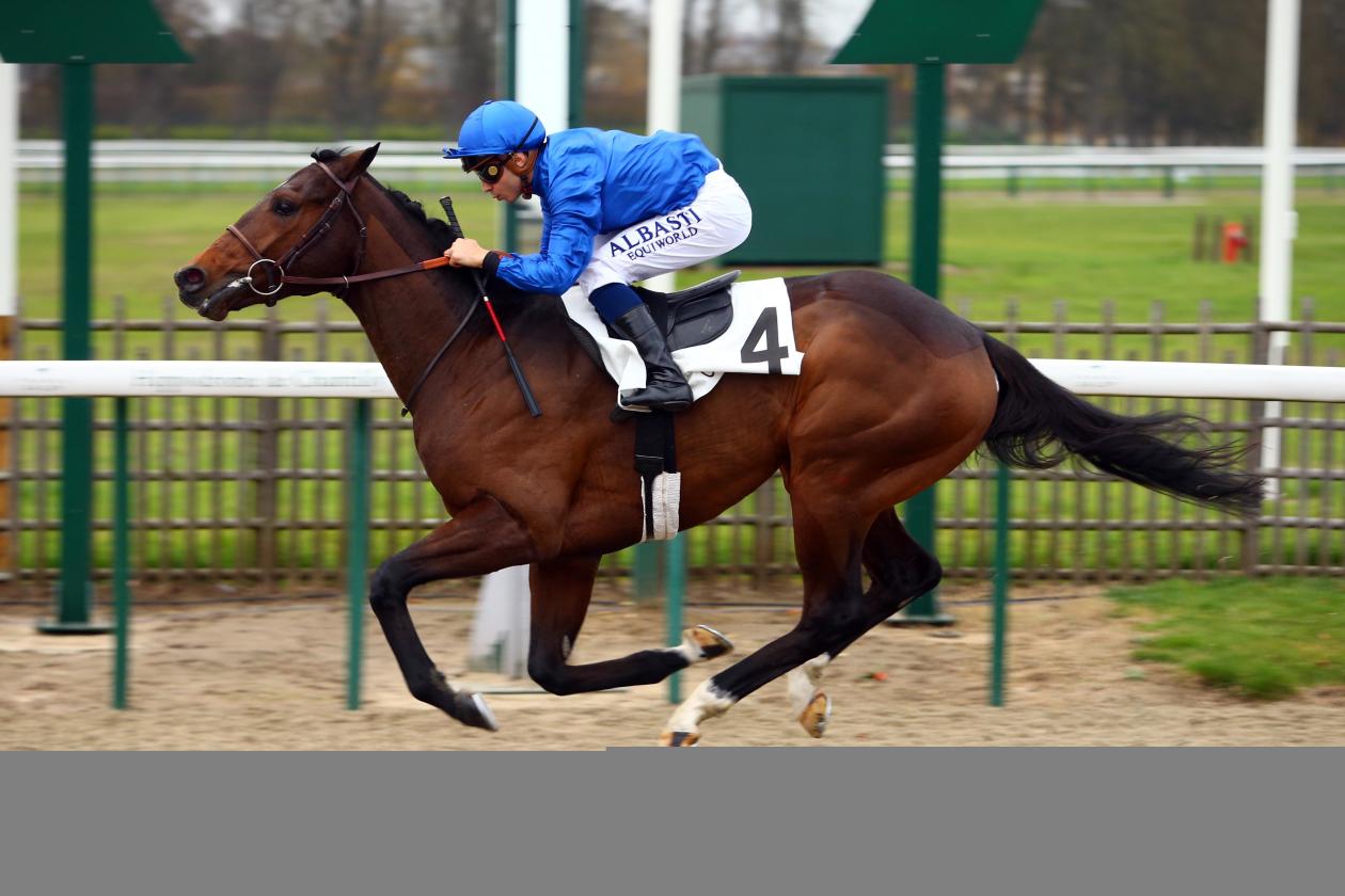 Magny Cours - 1st - Maiden - Chantilly - 21 November 2017.jpg