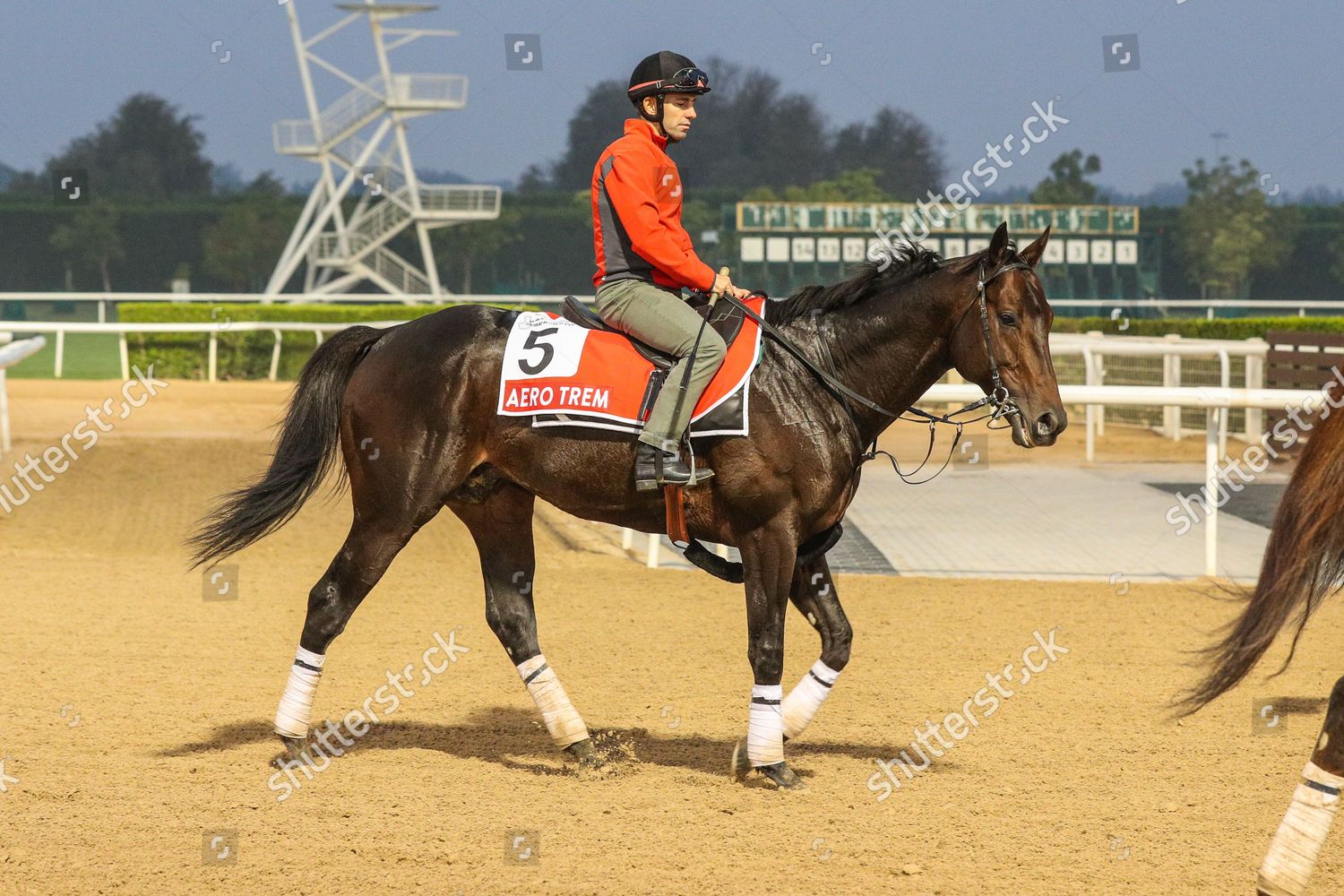 Shutterstock_12856565ai.jpg