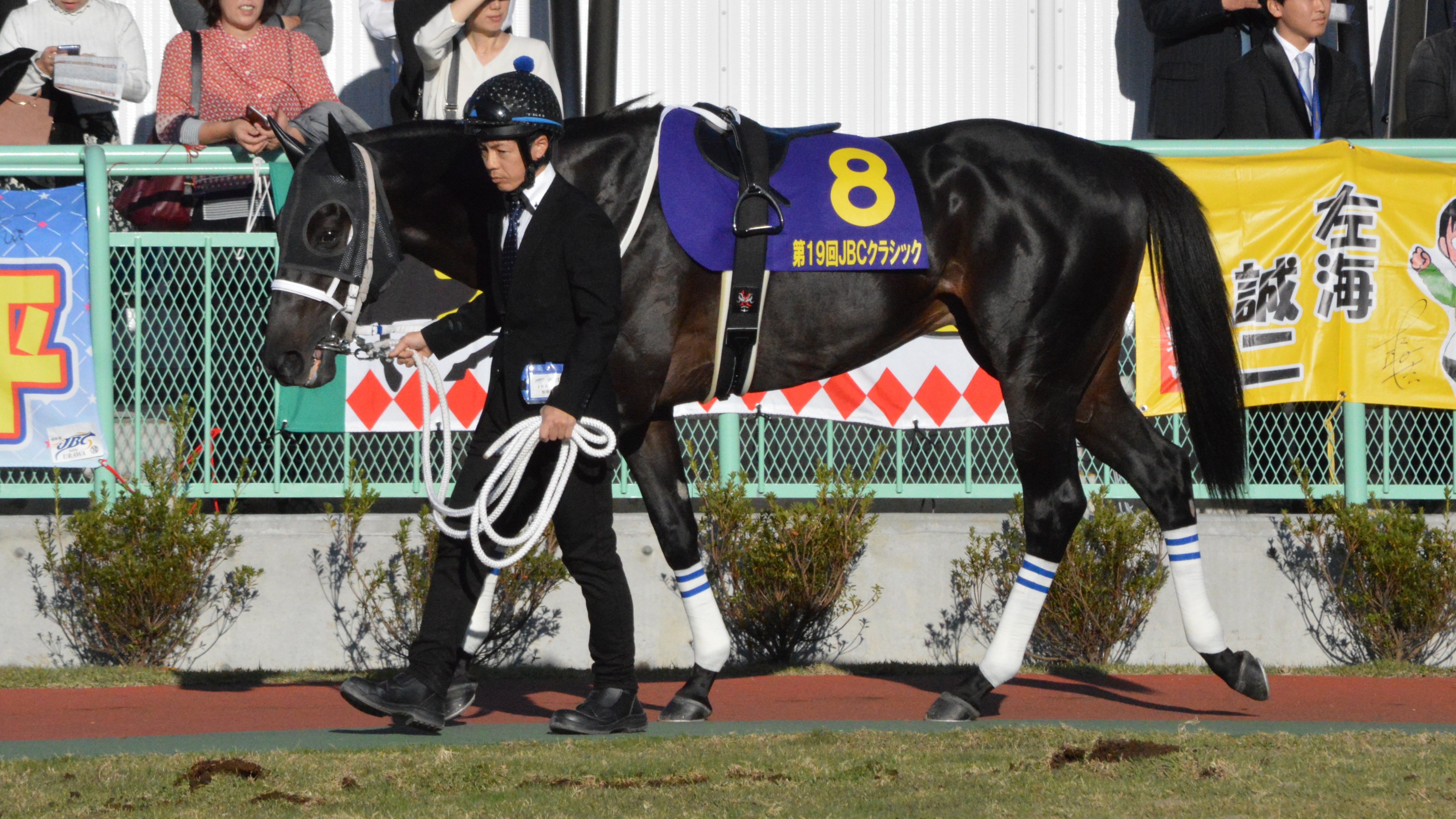 Chuwa_Wizard_JBC_Classic_2019(IMG1).jpg