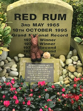 red-rum-s-grave-stone.jpg