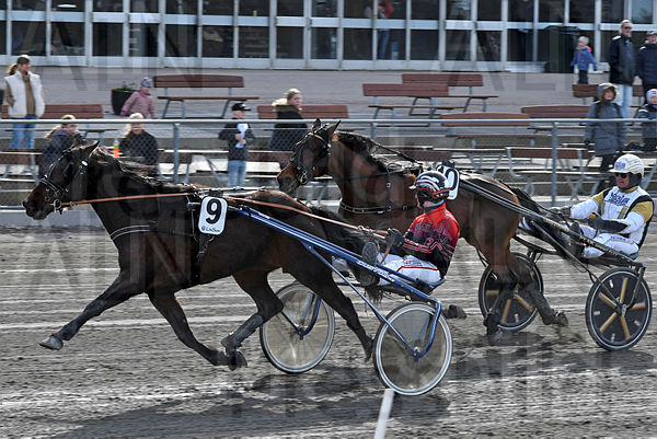 Global Barrister mål DSC_53.t624c083a.m600.w.4salnwmark2.png.xwCQ1cEDN.jpg