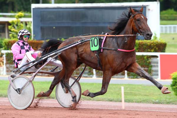 MD_00157773-013-scoopdyga_COLONEL (1).jpg