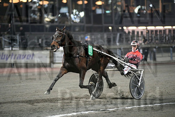 The Natural mål.t623bfe47.m600.w.4salnwmark2.png.xBFiMDJNA.jpg