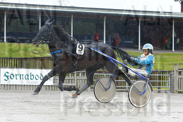 Bransbys Juke Box heat 2.t60aeb2d0.m600.w.4salnwmark2.png.xJoIrK2rp (1).jpg