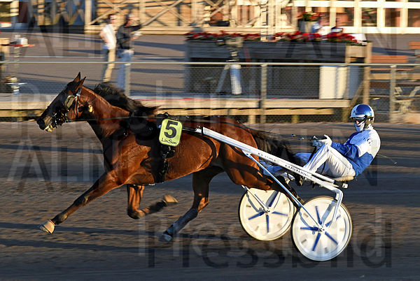 Usain Töll mål DSC_5776.t60dc6be9.m600.w.4salnwmark2.png.xYQIG3aBv.jpg