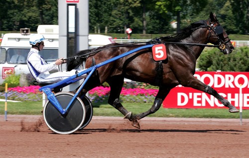 660245_PHW_jag_de_bellouet.jpg