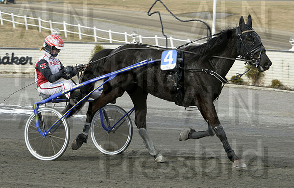 Point Of View heat.t6248a7d8.m600.w.4salnwmark2.png.xHs-1sY6g.jpg