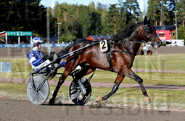 Martin de Bos heat 1.t5d877a74.m600.w.4salnwmark2.png.x8S8MZvUB.jpg