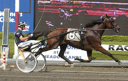 Victory_Tilly_&_Stig_H._Johansson_'Nat_Ray_Trot'_2002-08-03_001.jpg