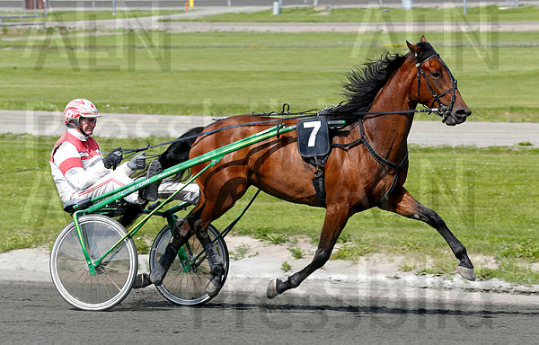 Västerbo Garonne heat 1.t60fad88c.m600.w.4salnwmark2.png.x93E9BT5J.jpg