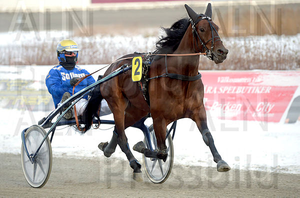 Inti Boko heat 2.t5e3bd86e.m600.w.4salnwmark2.png.x8ItyJ4in.jpg